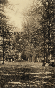 15596 Gezicht in de Laan van Beek en Royen met rijen loofbomen te Zeist uit het zuidwesten.